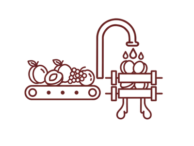 Washing: The Cornerstone of Food Safety